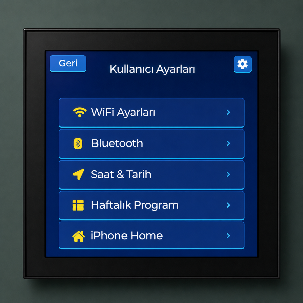IGK kullanıcı ayarları ekranı
